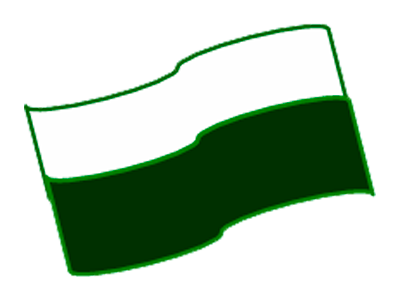 Bandera Institucional